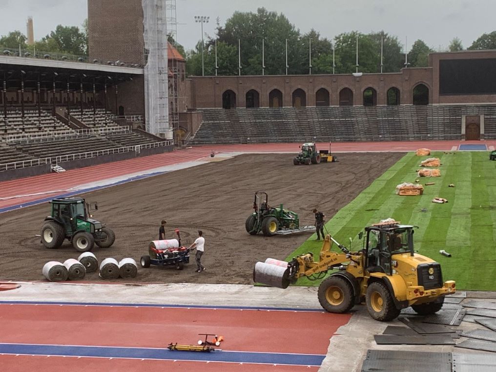 Läggning färdigt gräs kopia