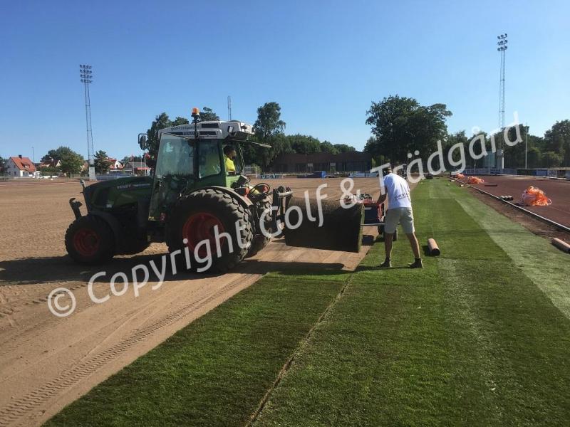 angeholmgraslaggning