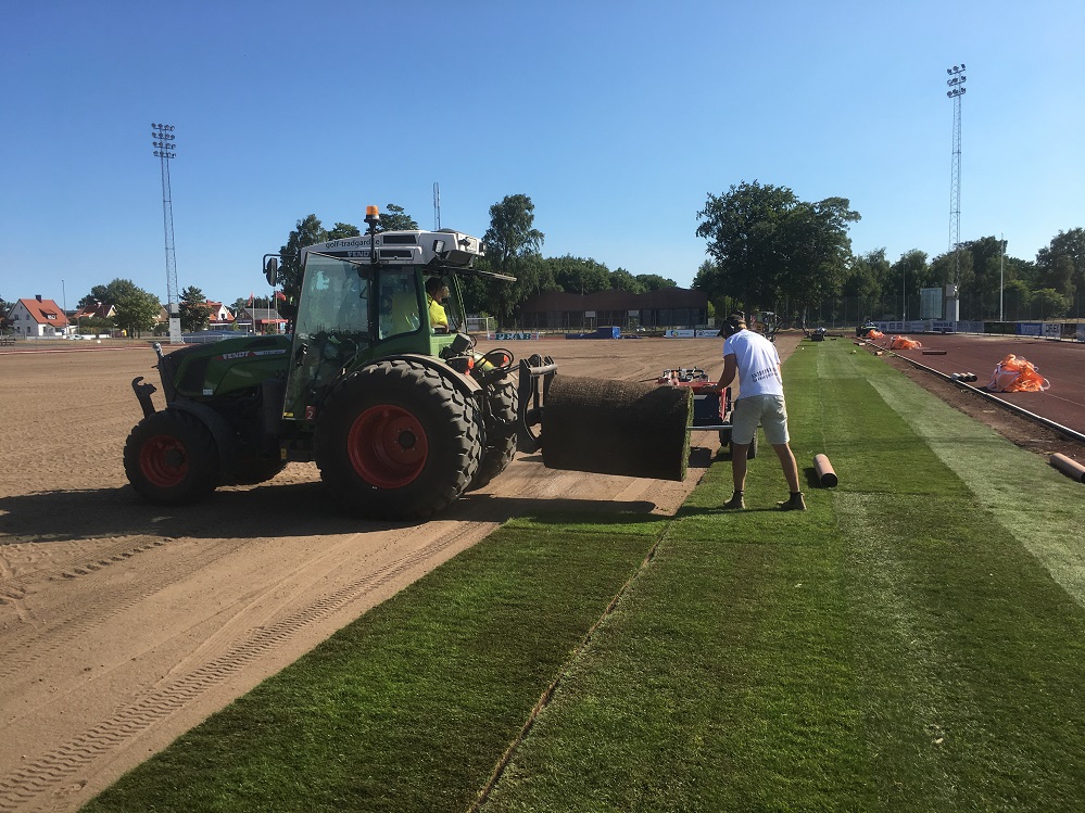 Ängelholm gräsläggning